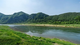 함께할개 애견펜션