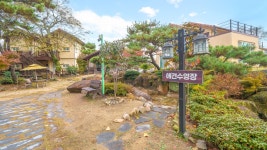 참맑은아침단체애견스파독채커플펜션
