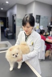 24시 분당 리더스 동물의료원
