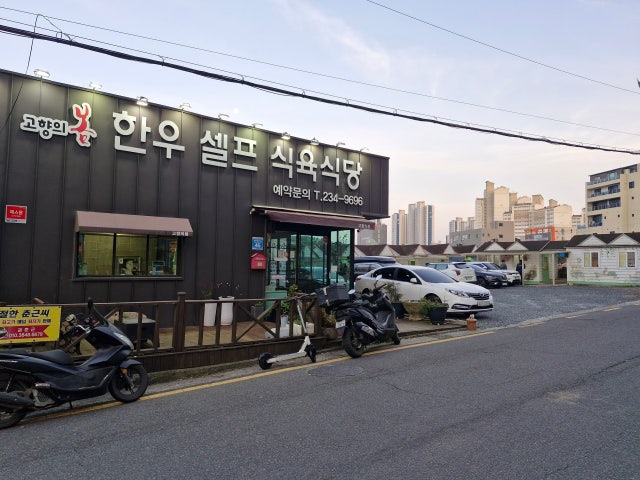 고향의봄