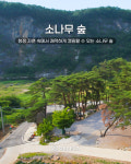 영월한반도캠핑장