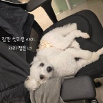 멍스플레이
