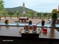 어울촌카페