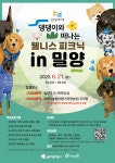 설레임여행사