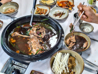 바위집염소 소백산