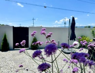 스테이담 감성숙소펜션