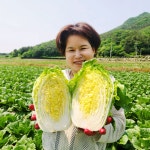 빛채울