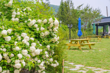 팔봉수피아 카페