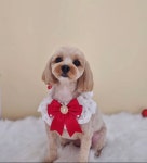 [석현동]몽개구름