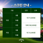 캘러웨이 스크린골프 세종점