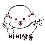 바비살롱
