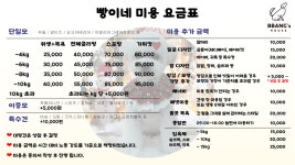 빵이네 애견미용실