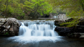 무주 오페라 복층 펜션 & 키즈 풀빌라