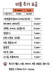 베리독하우스 애견미용 부천점