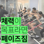 페이즈짐 남부터미널