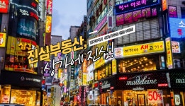 진심공인중개사사무소