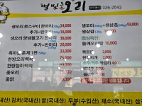 별빛오리