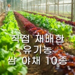 고인돌삼겹돌판구이 양산범어점