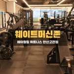 에이원팀 휘트니스 고잔점