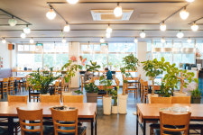 명가약초능이백숙