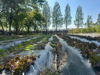 농부네수제갈비 왕송호수점