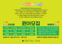 아웃독