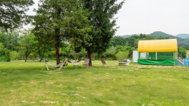 어서오시개냥 애견펜션