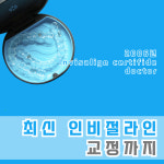 서울미소샘치과의원