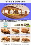 제이에스엔