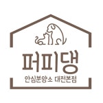 대전 강아지분양 고양이분양 퍼피댕 안심분양소 대전본점