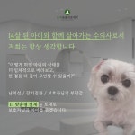 온새동물의료센터