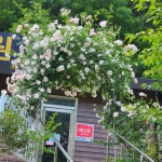 은하수 관광농원