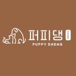 대전 강아지분양 고양이분양 퍼피댕 안심분양소 대전본점