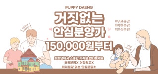 대전 강아지분양 고양이분양 퍼피댕 안심분양소 대전본점