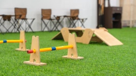 어서오시개냥 애견펜션