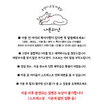 고양이미용실 나른하냥