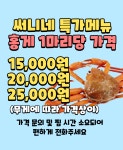 써니야오빠왔다