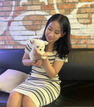 펫퍼스트24시 서울송파점 강아지고양이분양말티푸말티즈푸들