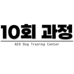 견생연구소 애오