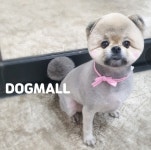 도그몰 애견미용실