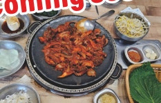 동청쭈꾸미 오송점