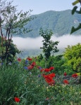 스테이별