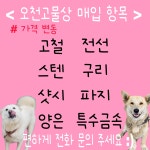 오천고물상