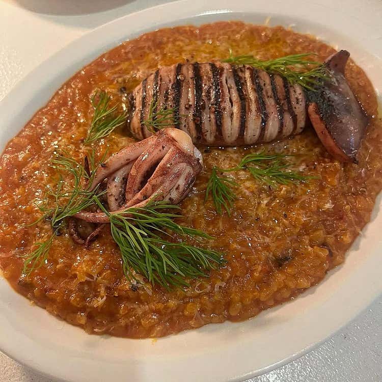 통오징어토마토리조또