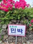 보희네민박