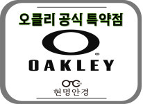 렌즈베리 현명안경