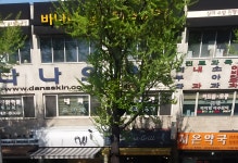 다나의원