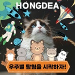 테이블에이 고양이카페