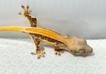 예쁜동물나라수족관 대전점