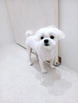 까만콩쌀알